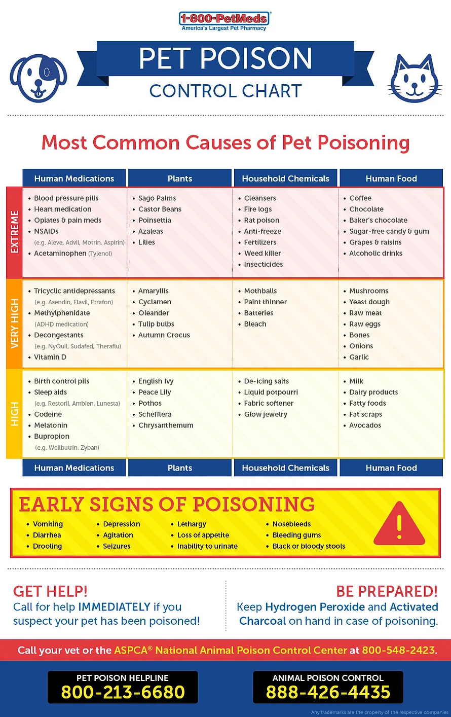 Poisonous to Dogs and Cats