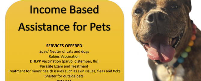 Bartow County Animal Control Income Based Veterinary Assistance for Pets