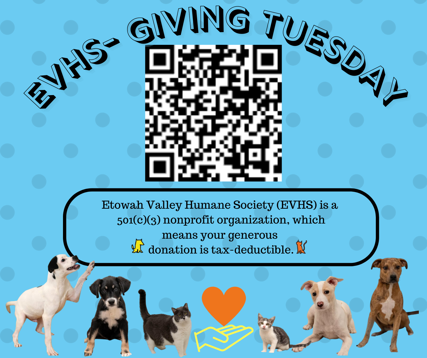 Giving Tuesday at Etowah Valley Humane Society